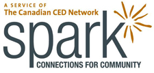 Spark Outstanding Pro Bono Consultant Award