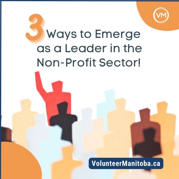 3 Ways to Emerge as a Leader in the Non-Profit Sector