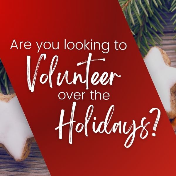 Looking to Volunteer Over the Holidays?